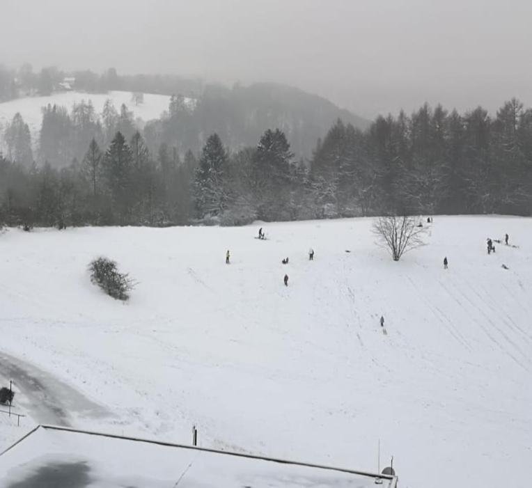 Harz-Fewo Ky487 브라운라제 외부 사진